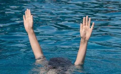 女子夜泳溺亡最新爆料新闻,悲剧背后的人性反思与安全警示